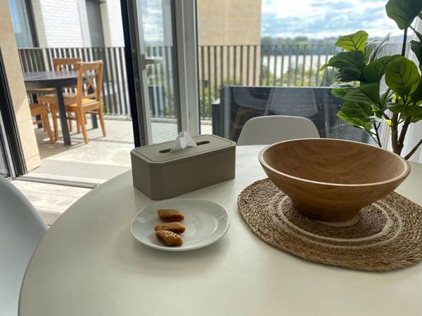 Appartement avec vue Garonne de ses deux terrasses, séjour, 3 chambres