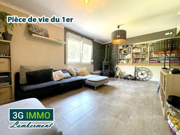 Vente / Maison à Villerupt (54190)
