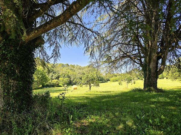 Montayral (47500) Domaine exceptionel sur 10 hectares avec demeure du XIX eme, dépendances, bois, prés, lac privé et piscine