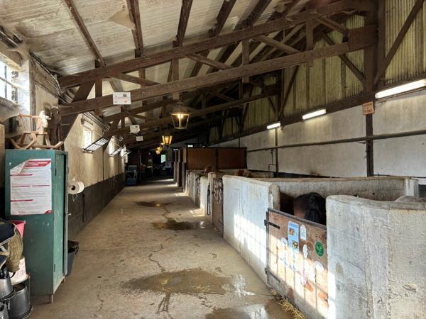 Vente / Propriété équestre