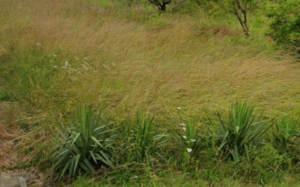 Terrain à vendre    Romorantin-Lanthenay