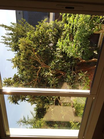 Champigny-sur-Marne (94500) Maison à 100 m des bords de Marne , 4 chambres