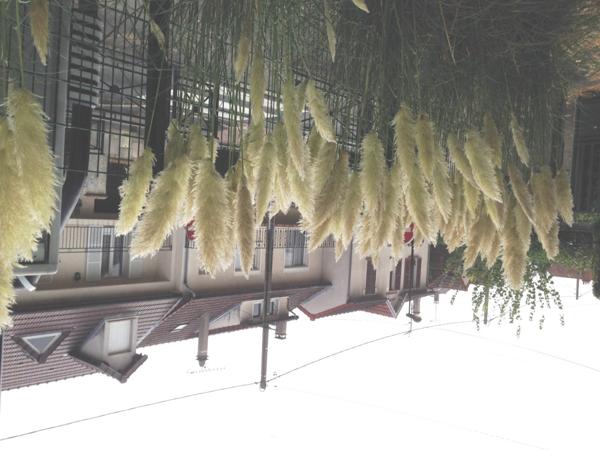 Champigny-sur-Marne (94500) Maison à 100 m des bords de Marne , 4 chambres