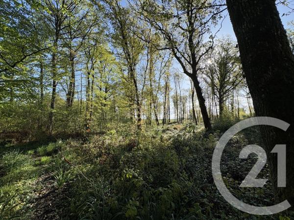 Terrain à vendre  37340 m2 CHASSENEUIL - 36