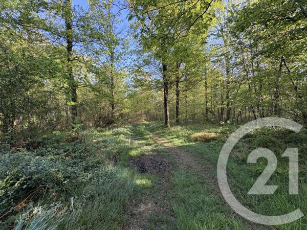 Terrain à vendre  37340 m2 CHASSENEUIL - 36