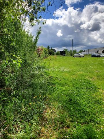 Terrain de 3 560 m²