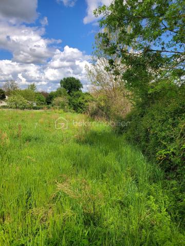 Terrain de 3 560 m²