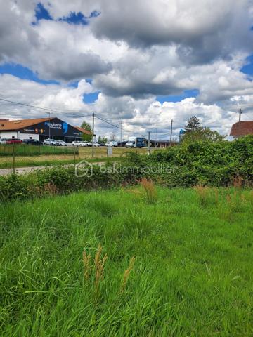 Terrain de 3 560 m²