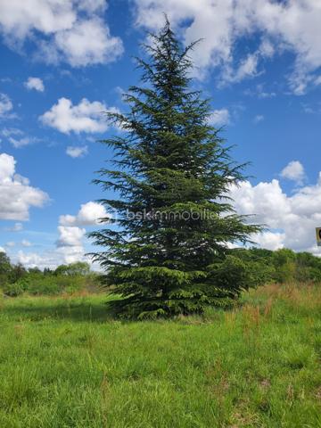 Terrain de 3 560 m²