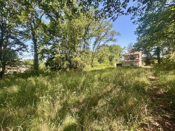MONTLHÉRY - TERRAIN A BÂTIR DE 5 000 M2 - POTENTIEL DE 2 LOTS