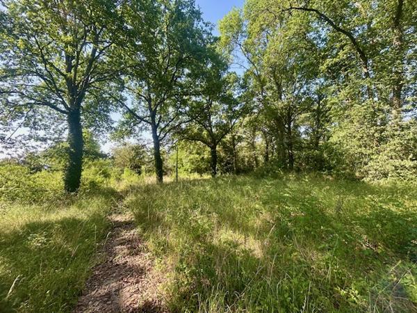 MONTLHÉRY - TERRAIN A BÂTIR DE 5 000 M2 - POTENTIEL DE 2 LOTS