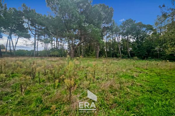 SAINT AUBIN DE MEDOC - Terrain à bâtir libre de constructeur