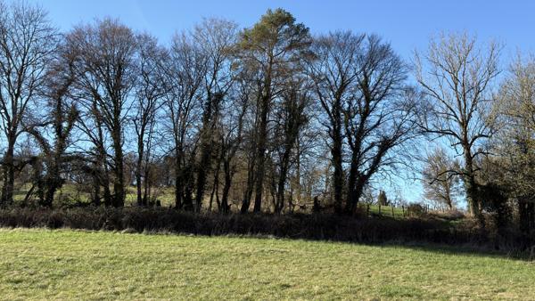 Vézelay (89450) Propriété située dans le Vézelien avec un jardin clos d'environ 2, 5 hectares au prix de 275 600 € F.A.I.