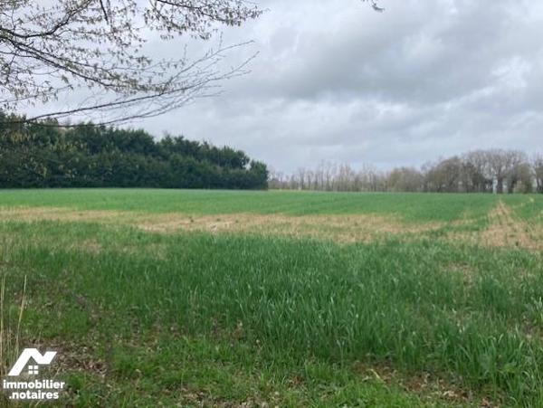 Terrain à vendre - Guer 56 Morbihan