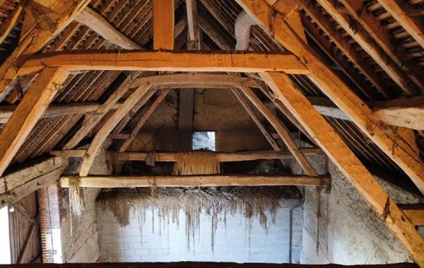 Vente Maison La loupe   