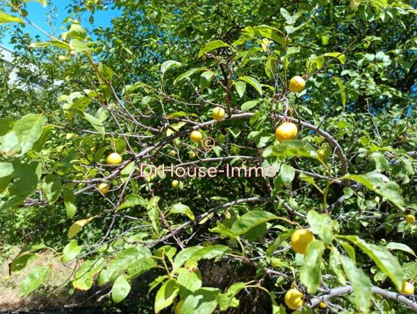 Maison à vendre 8 pièces de 215 m²