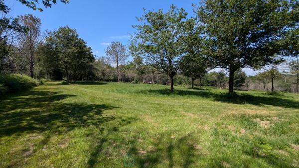 Superbe villa contemporaine dans un parc arboré de plus de 2 hectares  Camors (56)