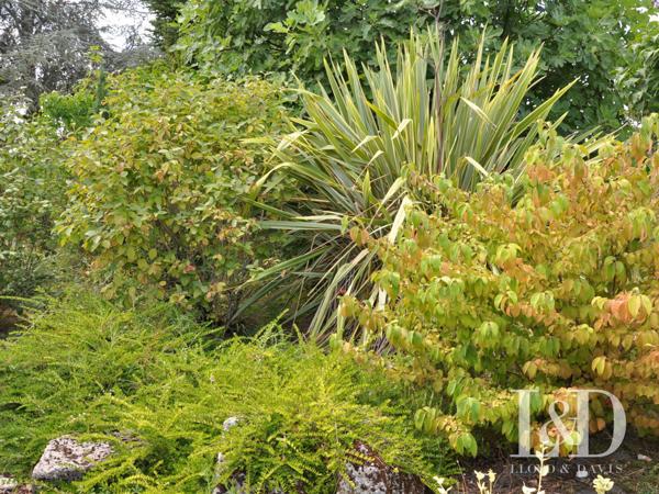Propriété Equestre de 2,3 ha - Proche Bergerac et Saint-Emilion