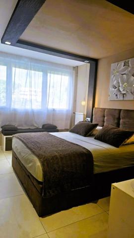 Beaumont splendide T3 refait à neuf avec 2 balcons