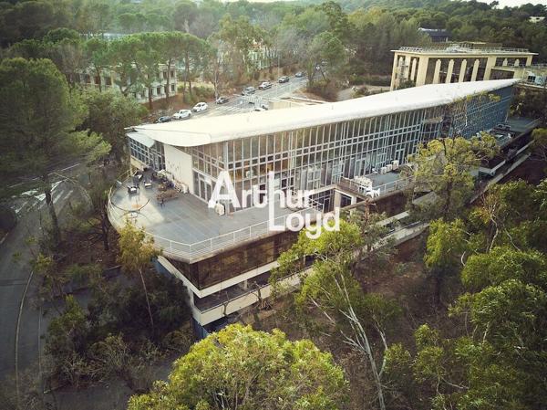 Location de bureaux 160 m² avec terrasse - Sophia Antipolis