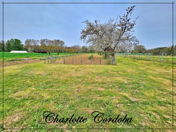 Maison de 4 pièces, grand terrain non attenant avec garage, petit budget