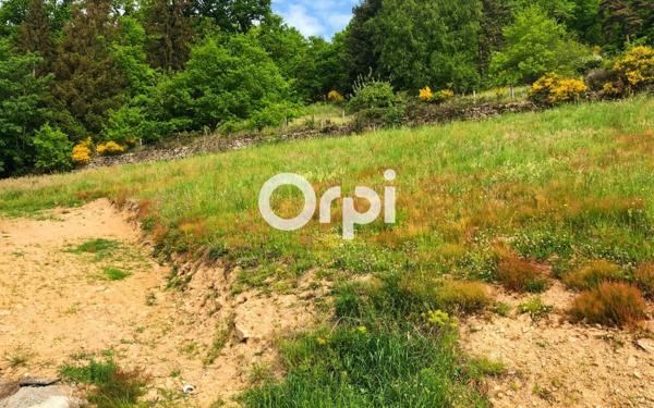 Terrain à vendre    Pomeys