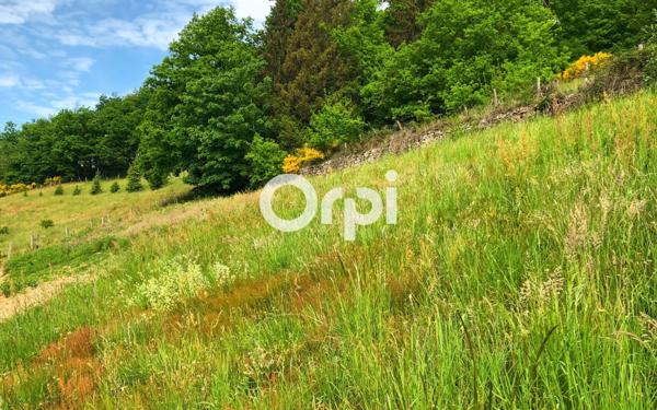 Terrain à vendre    Pomeys