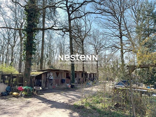 Maison 6 pièces sur villiers en bière cadre exceptionnel, amoureux des chevaux, de verdure sans vis à vis