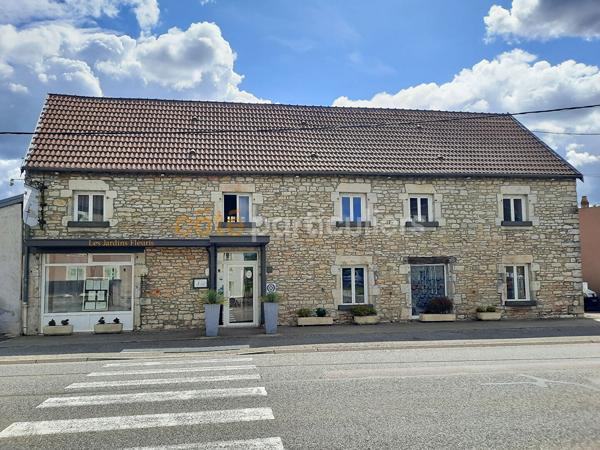 Vente
                Fonds de commerce253 m² - PARCEY (39100)