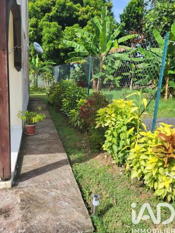 Location maison 2 pièces 41 m² Baie-Mahault