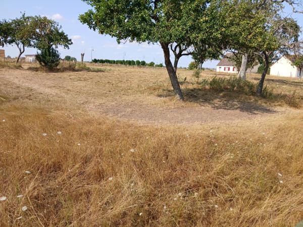 Ferrieres haut clocher, joli terrain clos et plat de 5030 m² .
