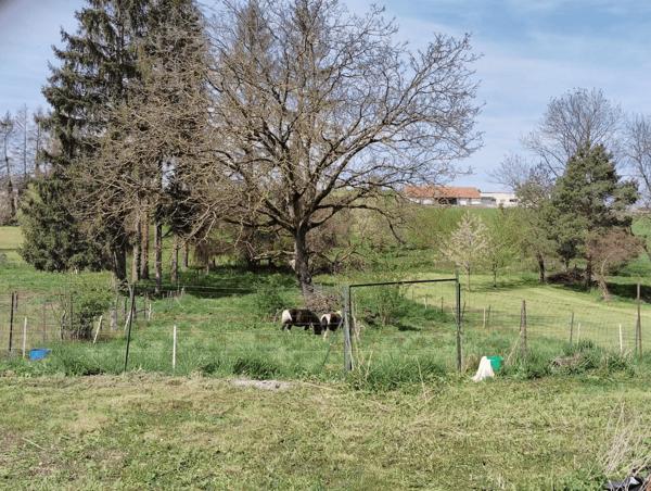 CORPS DE FERME DE 198.40 M² A PROVENCHERES SUR MEUSE Détails des diagnostics énergétiques
