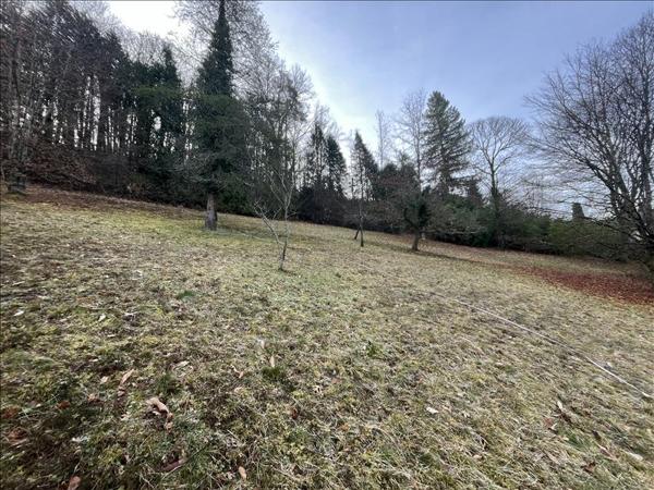 Terrain à vendre |  Sainte-Fortunade |  2000 m²