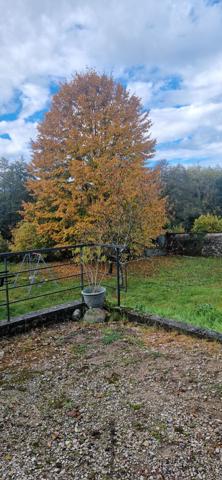 5' de VOIRON Maison 4 chambres, grand terrain, atelier