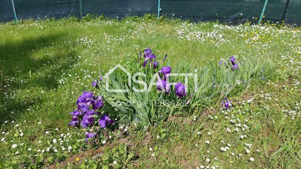 TERRAIN CONSTRUCTIBLE