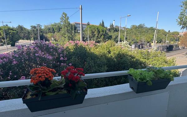 Appartement à vendre    4 pièces • 73,18 m2 Montpellier