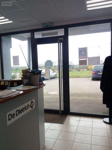 Entrepôt et bureaux à vendre à Villaines-la-Juhel en Mayenne (53700), ref : 1304