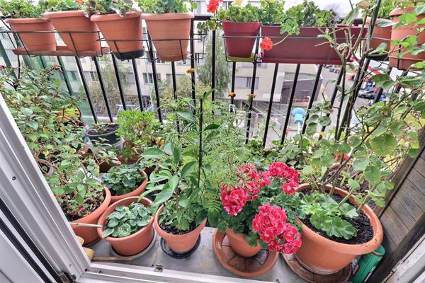 Appartement Saint Denis 3 pièces 71m2