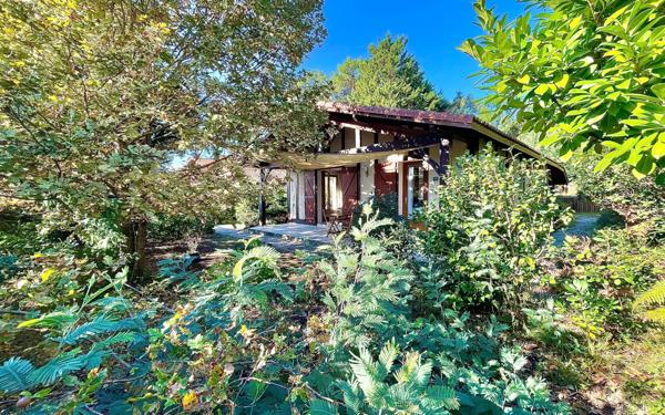 Maison à vendre    3 pièces •  Messanges