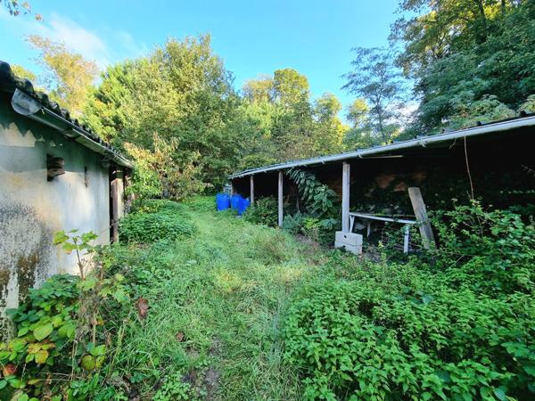 Vente / Maison avec dépendance