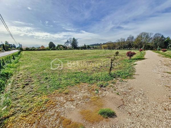 Terrain de 13 288 m²