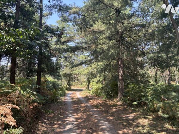Propriété de caractère au cœur d'un parc arboré de plus de 6 hectares avec étang
