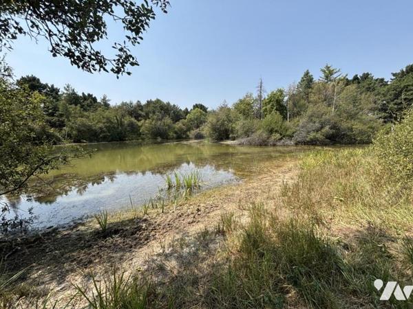 Propriété de caractère au cœur d'un parc arboré de plus de 6 hectares avec étang
