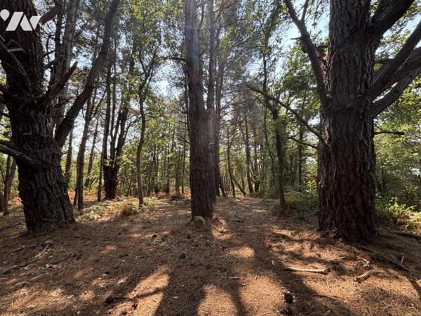 Propriété de caractère au cœur d'un parc arboré de plus de 6 hectares avec étang