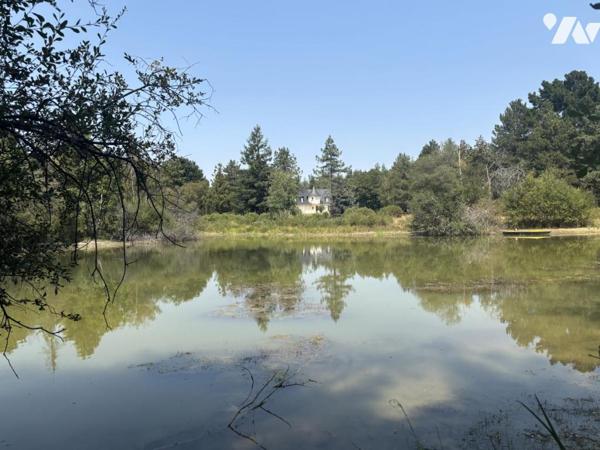 Propriété de caractère au cœur d'un parc arboré de plus de 6 hectares avec étang