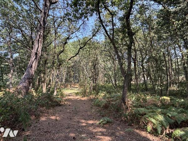 Propriété de caractère au cœur d'un parc arboré de plus de 6 hectares avec étang