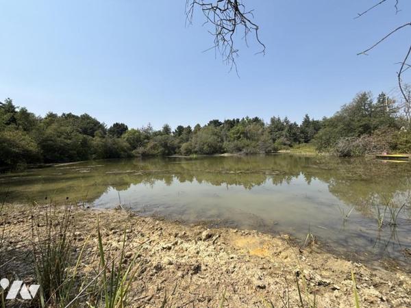 Propriété de caractère au cœur d'un parc arboré de plus de 6 hectares avec étang
