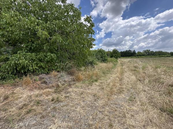 Vente / Corps de ferme