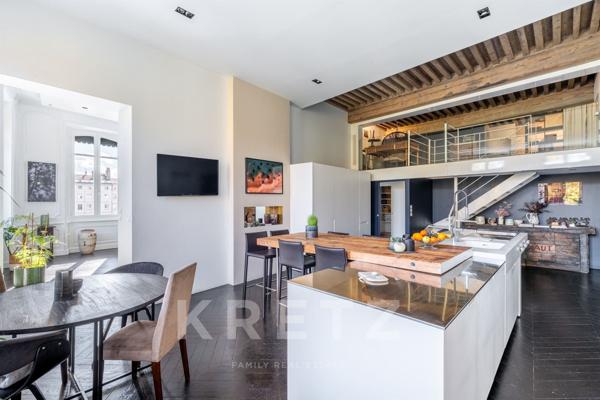 Magnifique Appartement type Loft avec Vue Rhône