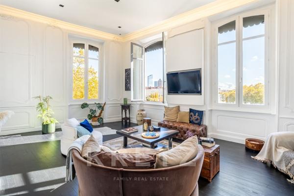 Magnifique Appartement type Loft avec Vue Rhône